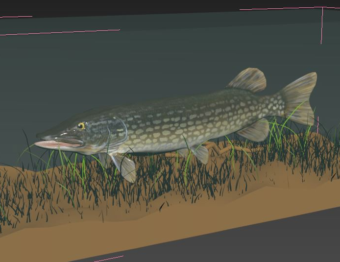 3D-model of a pike in a pond