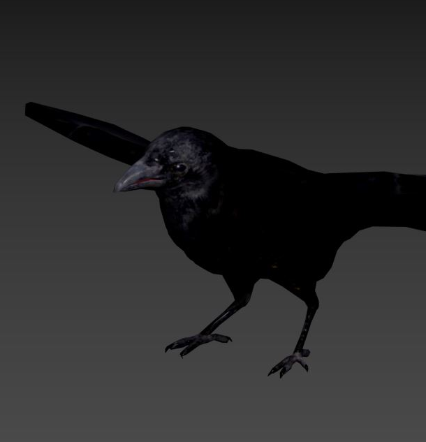 3D-model of a raven