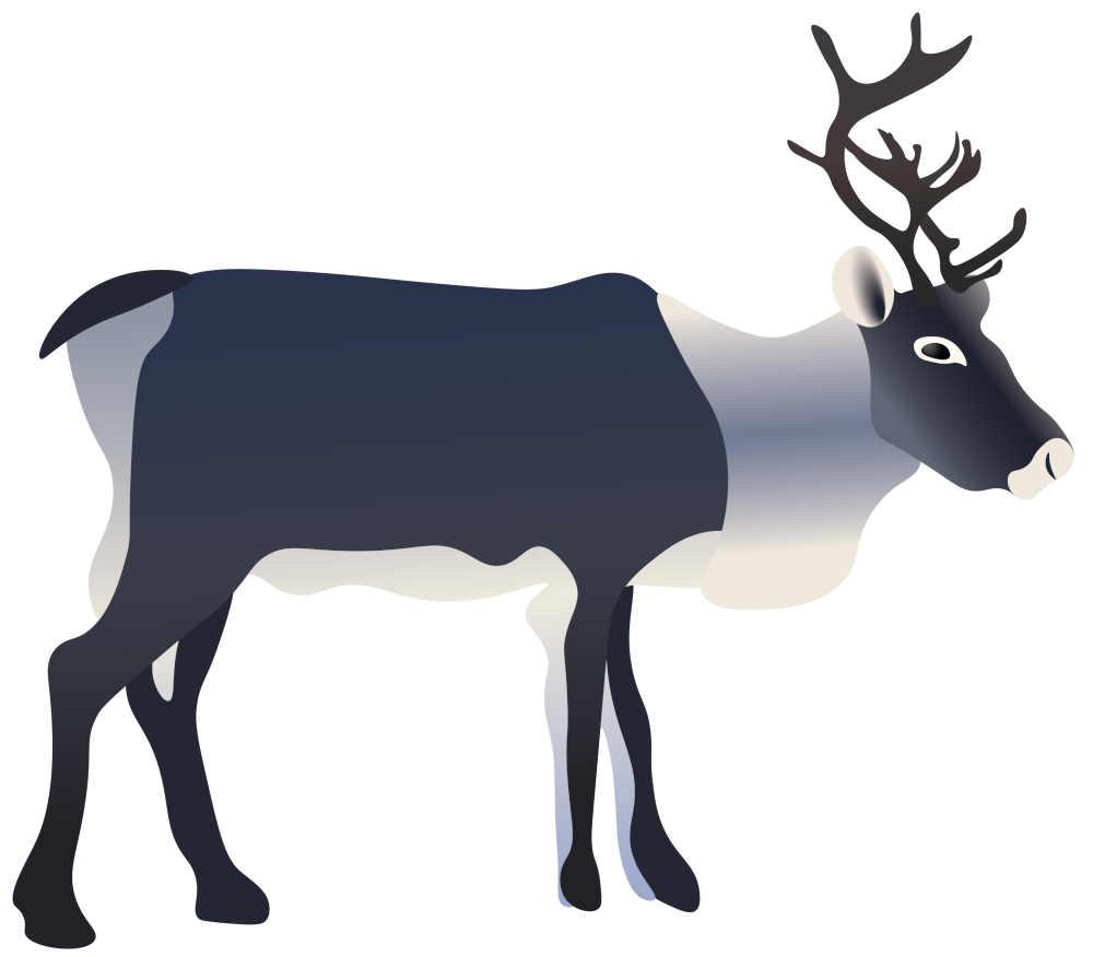 Image of a reindeer